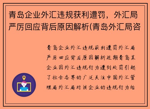 青岛企业外汇违规获利遭罚，外汇局严厉回应背后原因解析(青岛外汇局咨询电话)